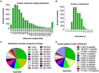 Comparative proteomics of ovaries elucidated the potential targets related to ovine prolificacy
